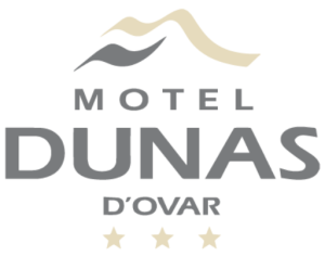 cropped logo moteldunas cinzaeareia favicon2 300x236